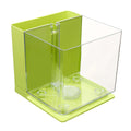Self-cleaning small fish tank